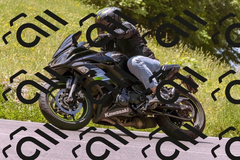 202506081151-_DSC8571_d1_