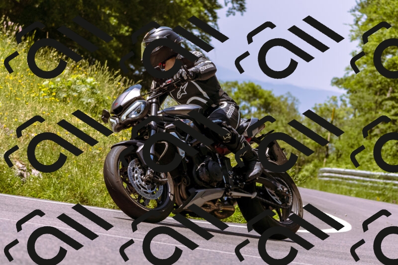 202506081153-_DSC8583_d1_