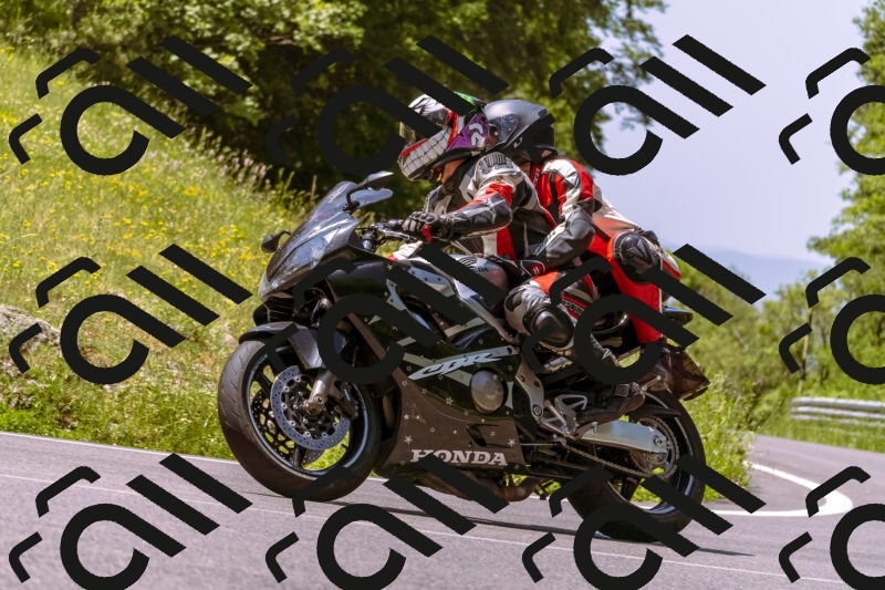 202506081154-_DSC8590_d1_