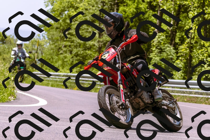 202506081155-_DSC8593_d1_