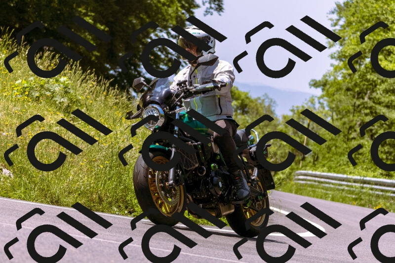 202506081155-_DSC8597_d1_