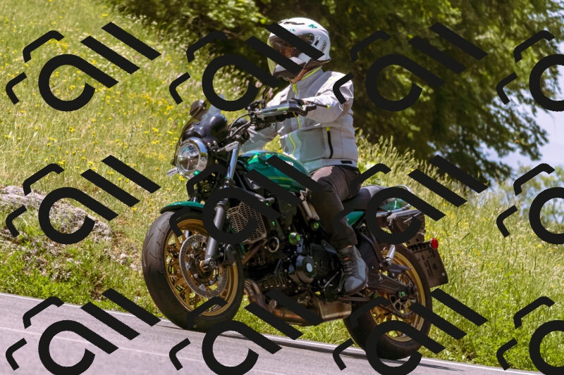 202506081155-_DSC8598_d1_