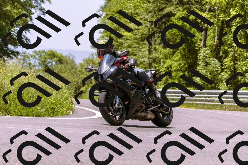 202506081202-_DSC8602_d1_