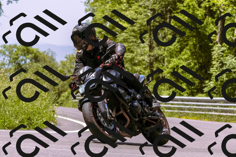 202506081202-_DSC8605_d1_