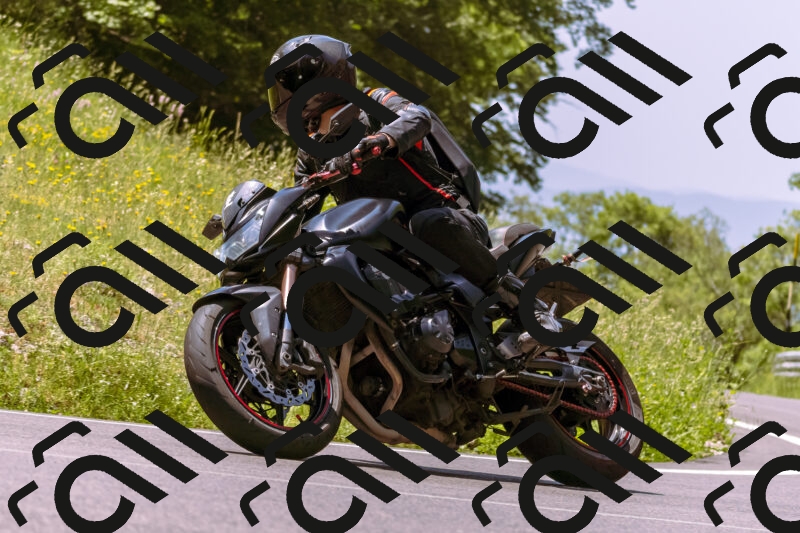 202506081202-_DSC8606_d1_