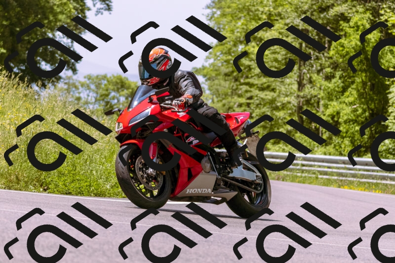 202506081202-_DSC8607_d1_