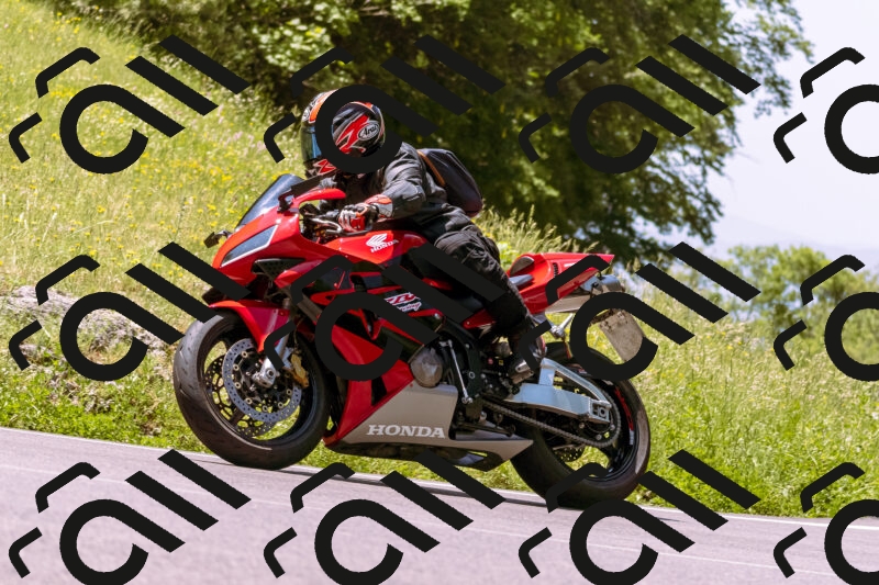 202506081202-_DSC8608_d1_