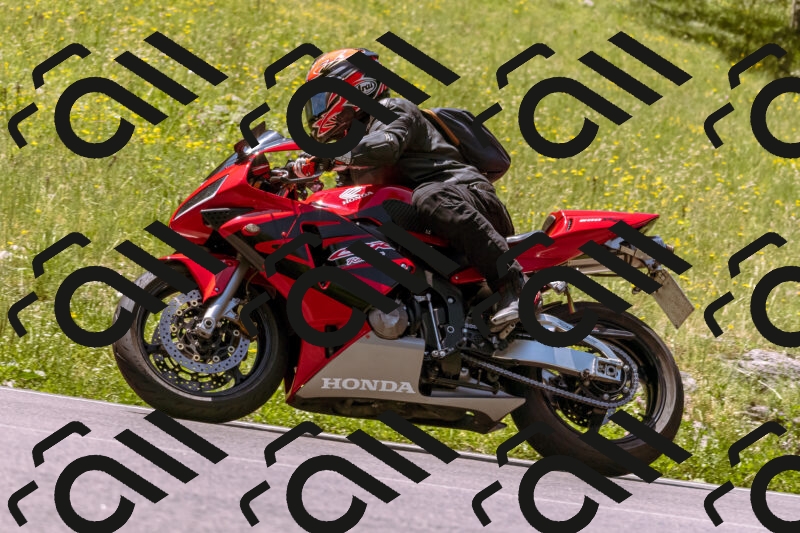 202506081202-_DSC8609_d1_