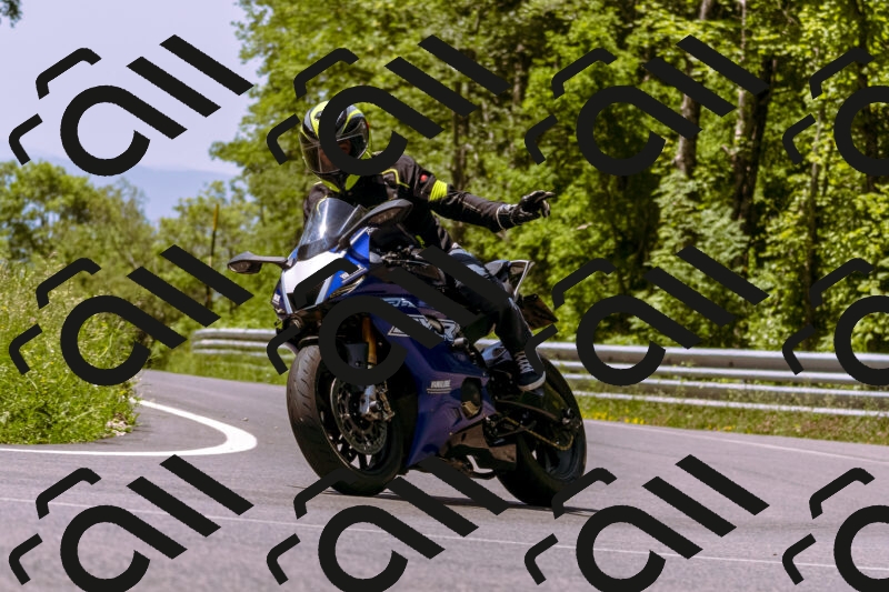 202506081202-_DSC8610_d1_