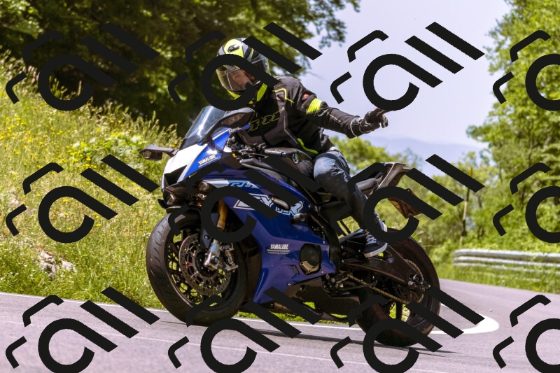 202506081202-_DSC8611_d1_