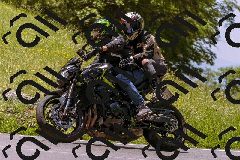 202506081204-_DSC8613_d1_