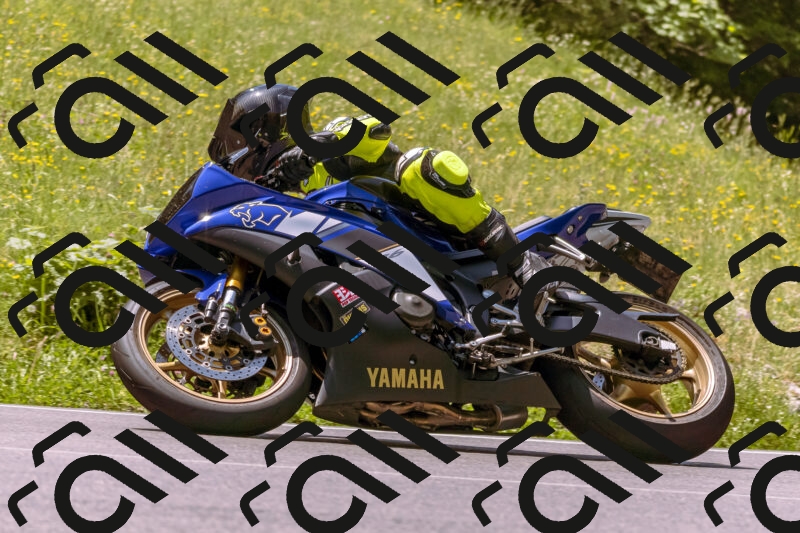 202506081204-_DSC8618_d1_