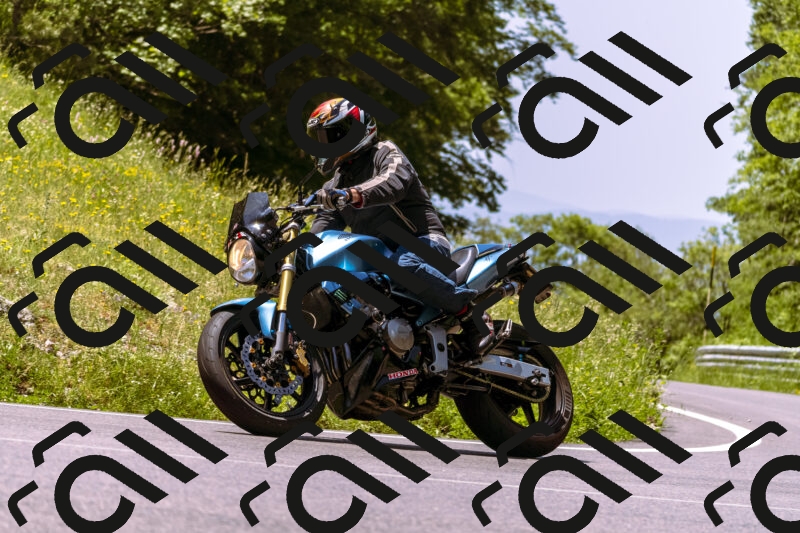 202506081206-_DSC8625_d1_