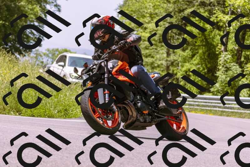 202506081207-_DSC8631_d1_