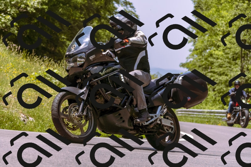 202506081209-_DSC8636_d1_