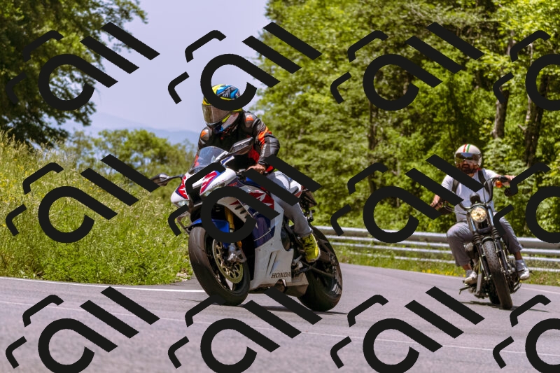 202506081209-_DSC8639_d1_