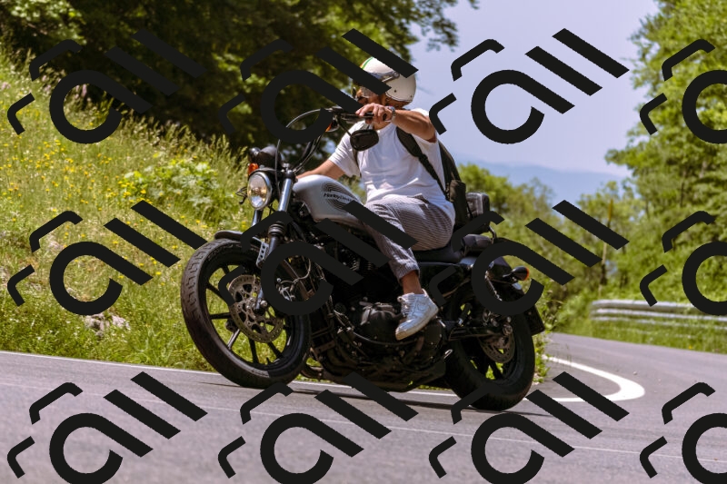 202506081209-_DSC8641_d1_