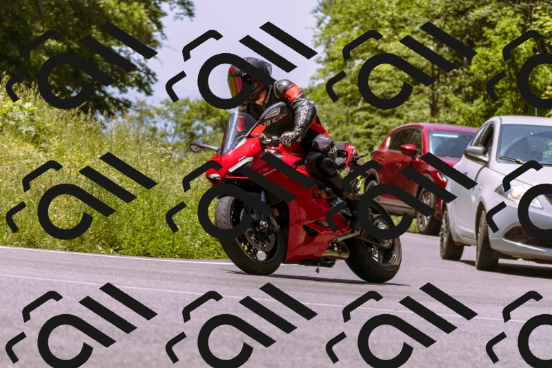 202506081213-_DSC8645_d1_