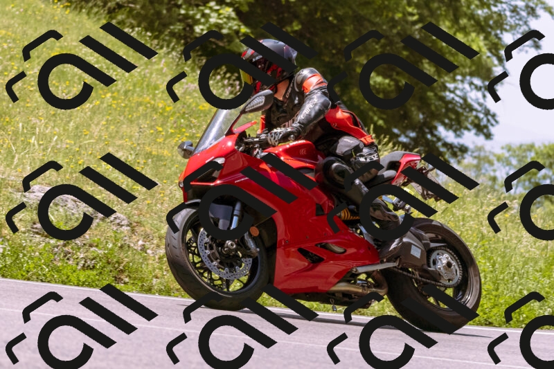 202506081213-_DSC8646_d1_