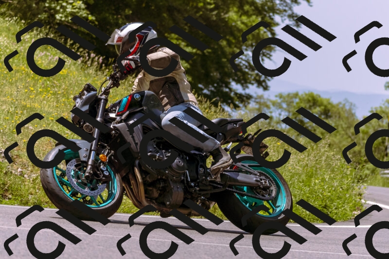 202506081213-_DSC8648_d1_