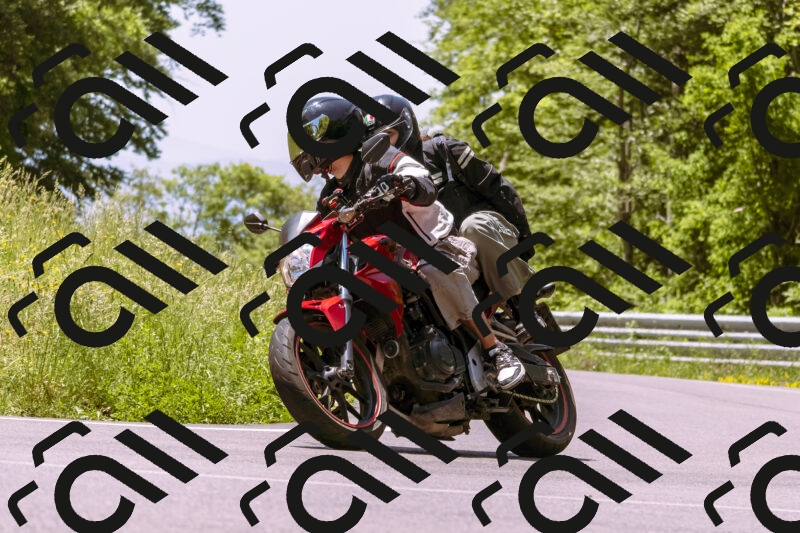 202506081214-_DSC8652_d1_