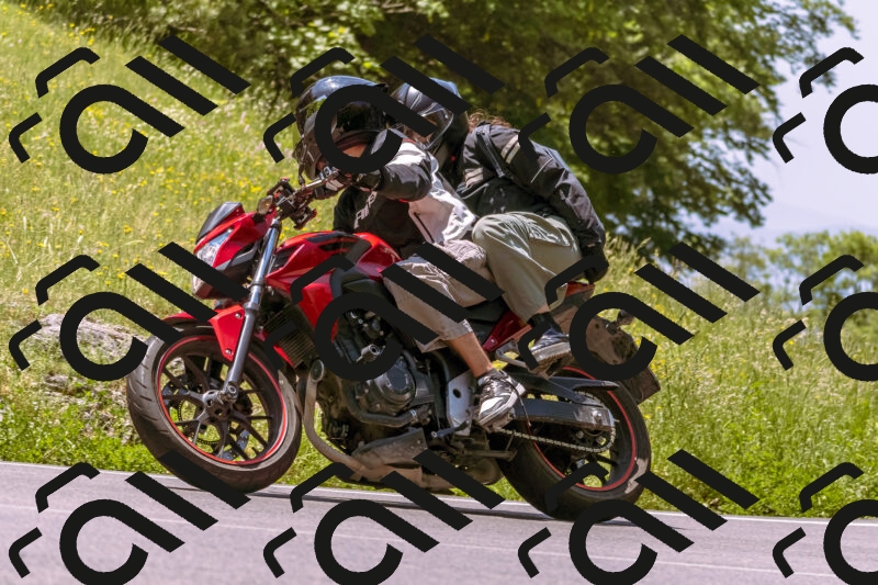 202506081214-_DSC8653_d1_