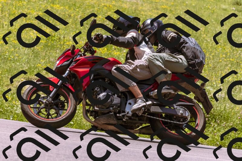 202506081214-_DSC8654_d1_