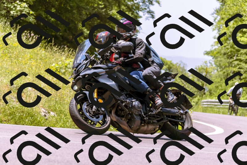 202506081214-_DSC8655_d1_