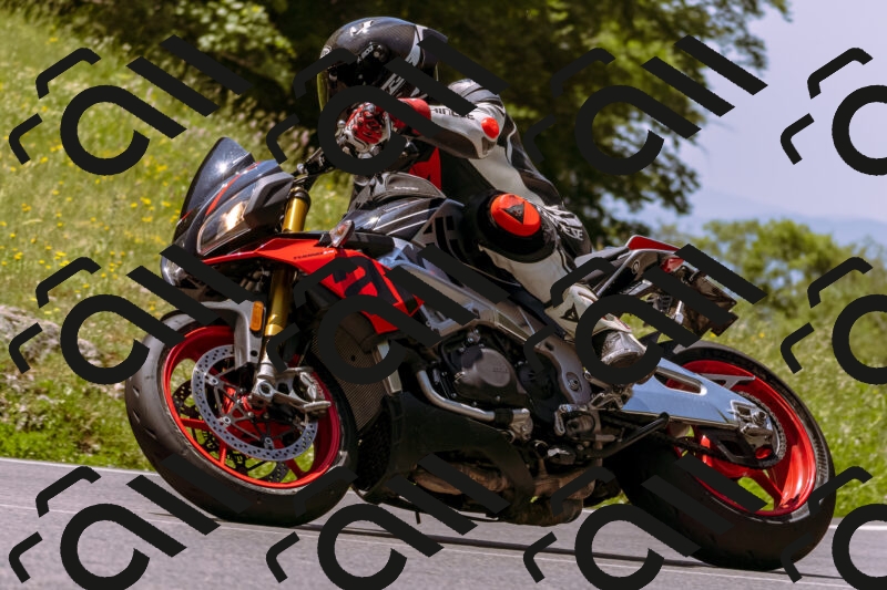 202506081215-_DSC8661_d1_