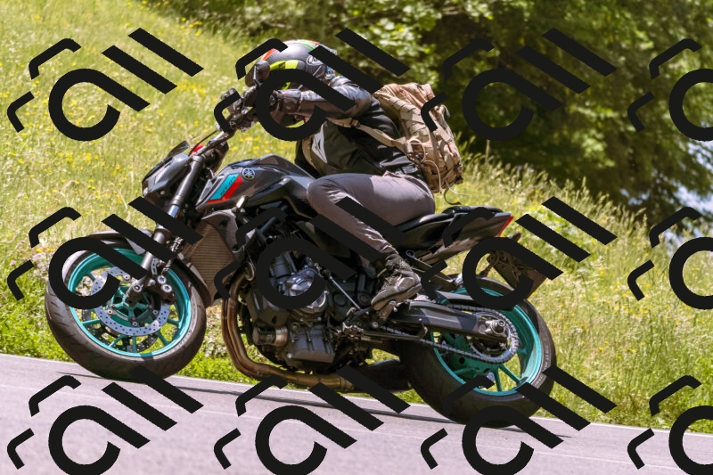 202506081216-_DSC8666_d1_