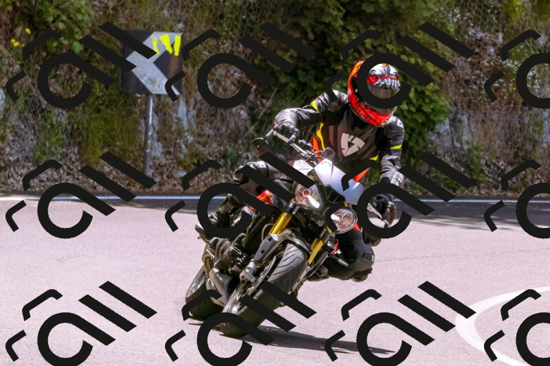 202506081223-_DSC8692_d1_