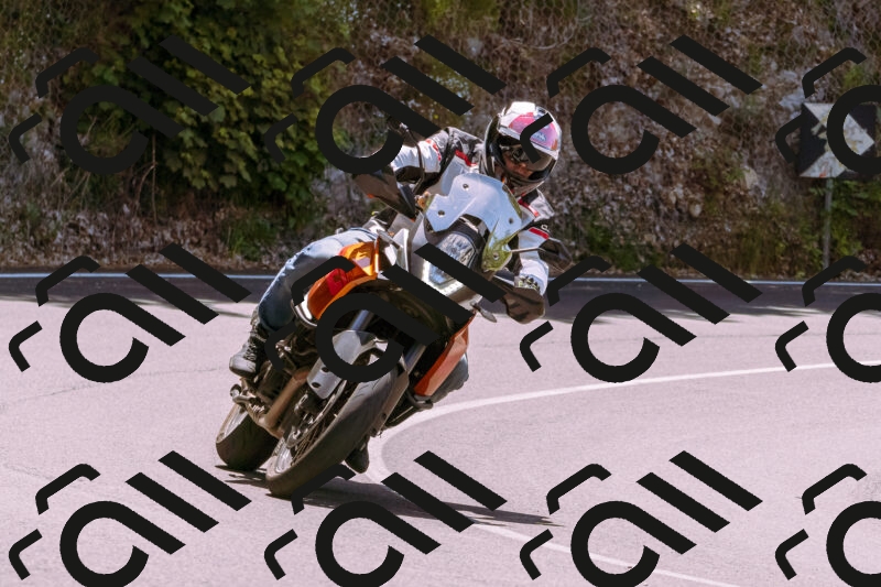 202506081223-_DSC8694_d1_