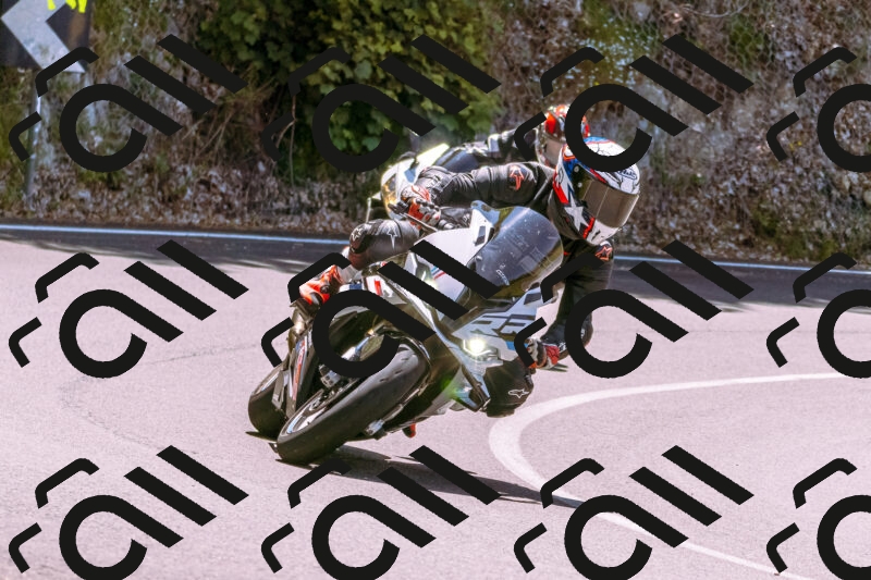 202506081225-_DSC8698_d1_