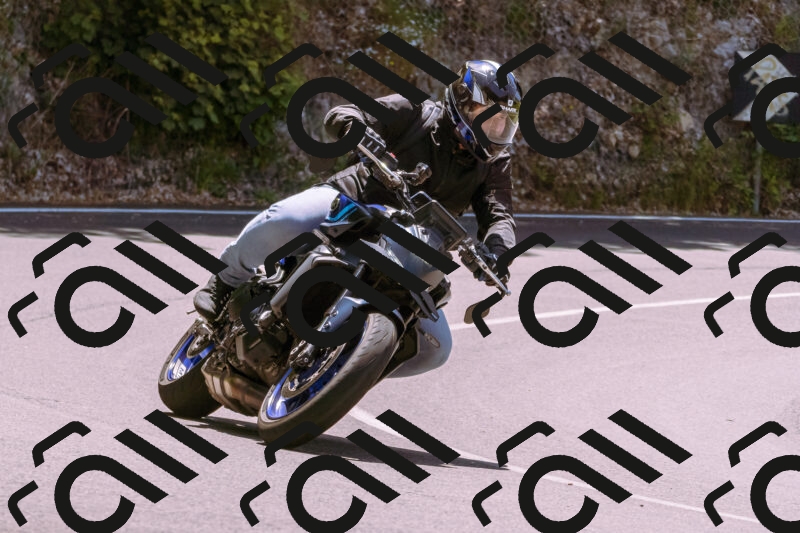 202506081225-_DSC8702_d1_