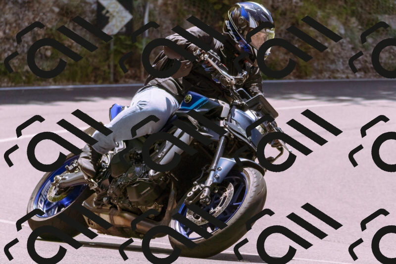 202506081225-_DSC8703_d1_