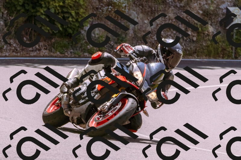 202506081227-_DSC8706_d1_