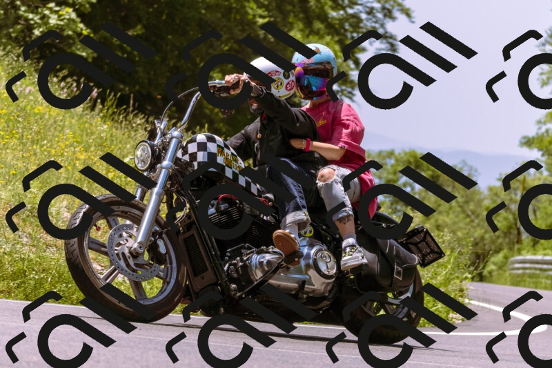 202506081228-_DSC8710_d1_