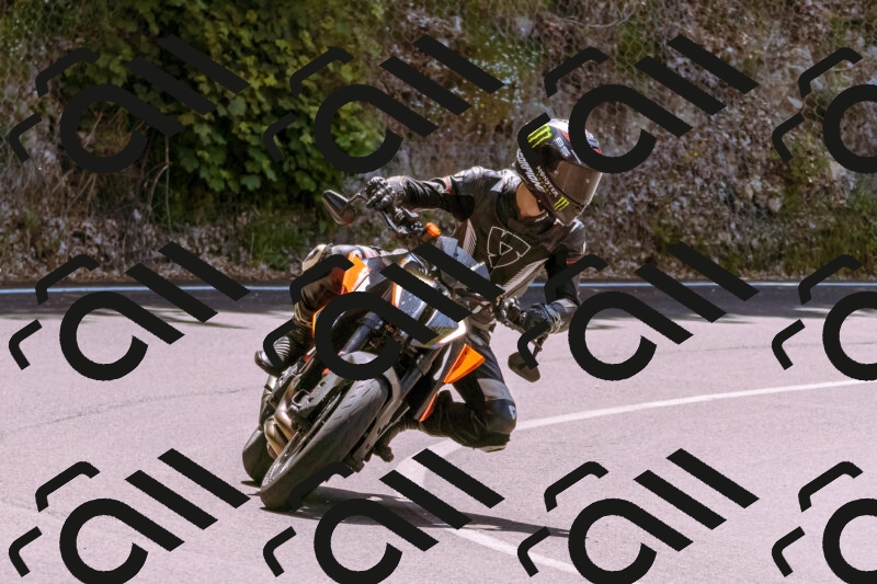 202506081230-_DSC8714_d1_