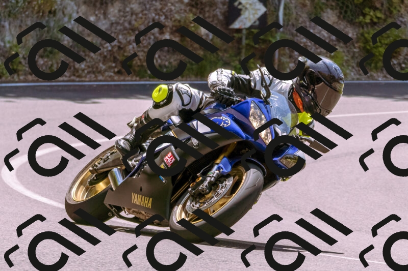 202506081230-_DSC8718_d1_