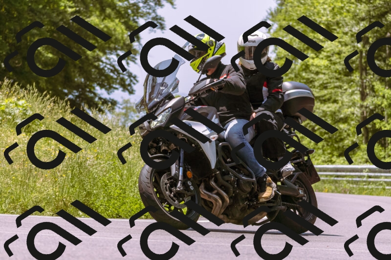 202506081231-_DSC8719_d1_