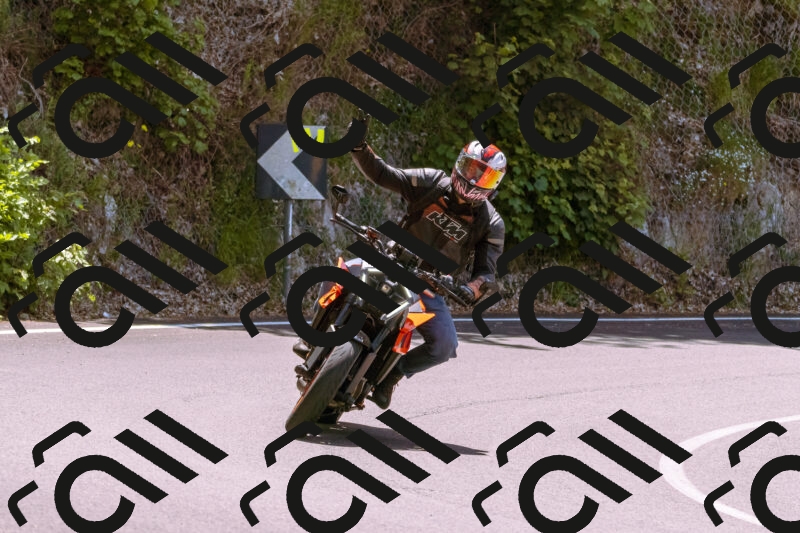 202506081231-_DSC8723_d1_