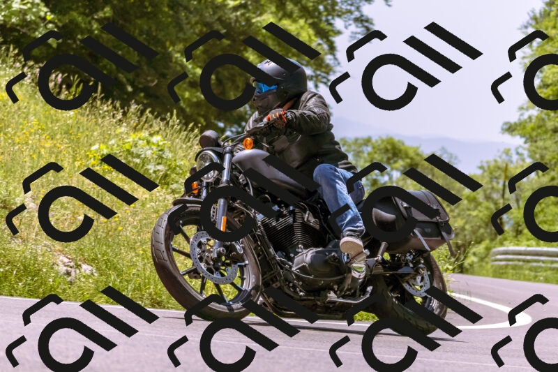 202506081232-_DSC8730_d1_