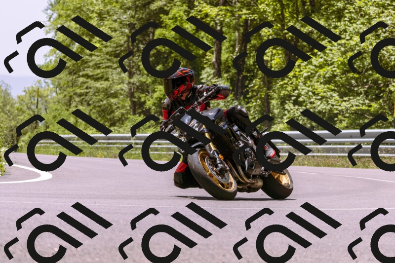 202506081232-_DSC8738_d1_