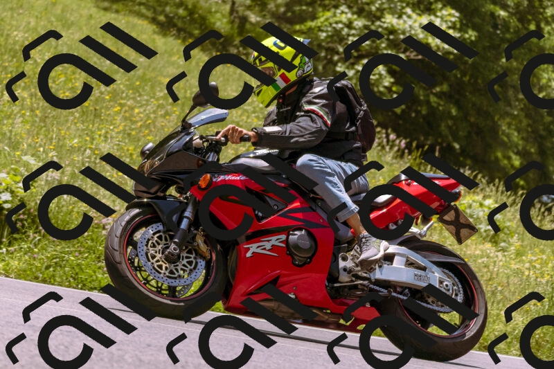 202506081238-_DSC8745_d1_