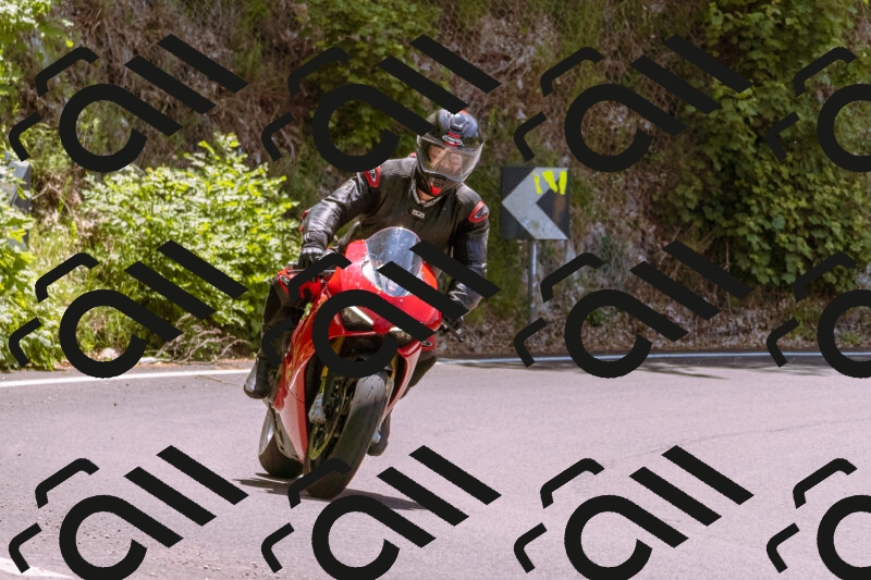 202506081241-_DSC8752_d1_