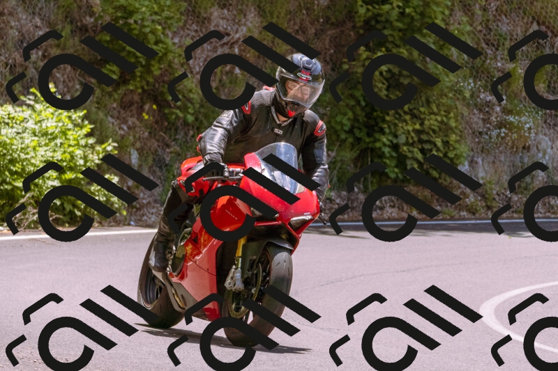 202506081241-_DSC8753_d1_