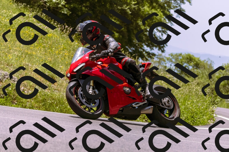 202506081242-_DSC8759_d1_