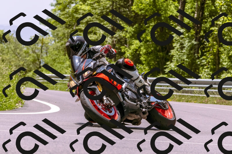 202506081242-_DSC8766_d1_