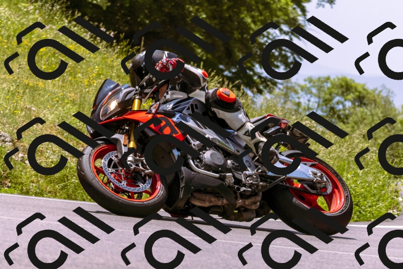 202506081242-_DSC8767_d1_