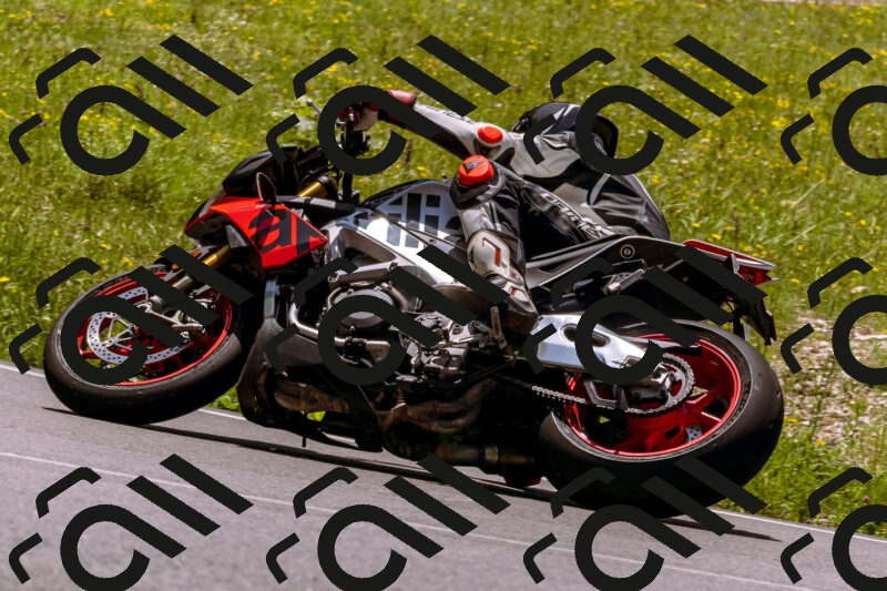 202506081242-_DSC8769_d1_